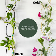 Load image into Gallery viewer, Climbing Plant Support