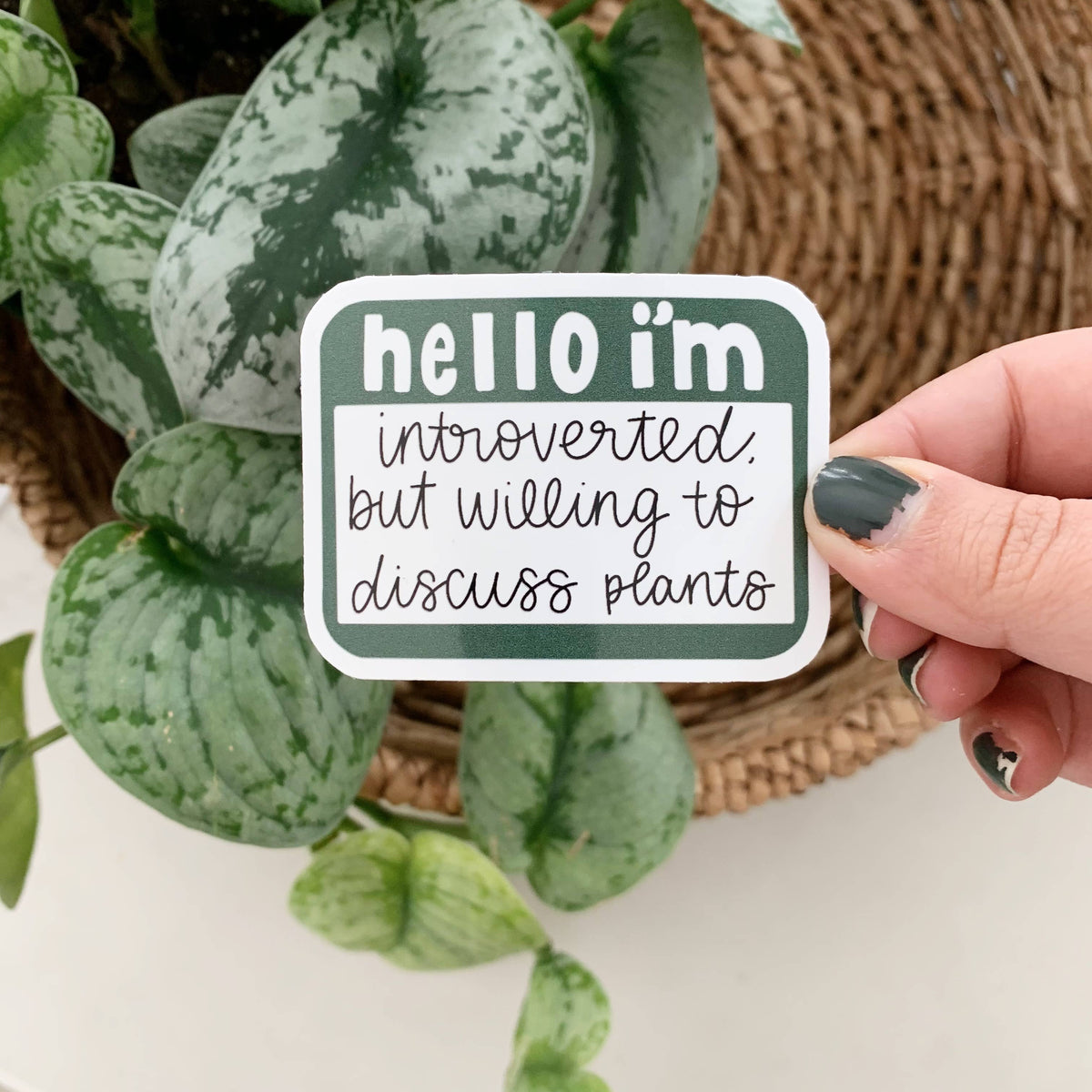 Willing to Discuss Plants Sticker - Humorous Giftware – Wasson Nursery