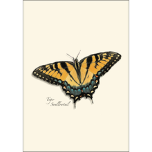Load image into Gallery viewer, Butterfly Assortment