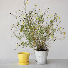 Load image into Gallery viewer, White stoneware planter with debossed lines containing flowering plant, yellow planter beside it