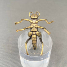 Load image into Gallery viewer, Brass Cricket Decoration