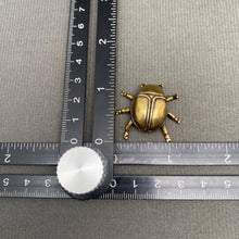 Load image into Gallery viewer, Brass Beetle Decoration