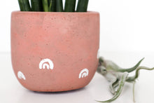 Load image into Gallery viewer, Concrete Planter with Arches - 3&quot; | terra-cotta  