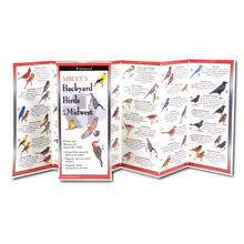 Load image into Gallery viewer, Waterproof folding bird identification guide featuring colorful illustrations of 69 Midwest bird species