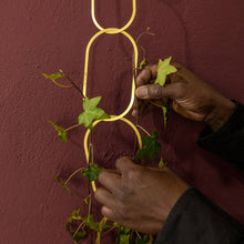 Load image into Gallery viewer, Climbing Plant Support