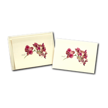 Load image into Gallery viewer, Two botanical greeting cards featuring pressed orchid flowers on cream background