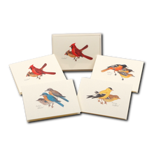 Load image into Gallery viewer, Peterson bird assortment greeting cards featuring colorful cardinal, oriole, bluebird and finch illustrations