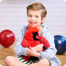 Load image into Gallery viewer, Happy child hugging red cardinal plush toy warmies gift item