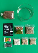 Load image into Gallery viewer, Terrarium Kit : Large Cylinder