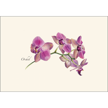 Load image into Gallery viewer, Purple orchid botanical illustration on cream background with elegant script text