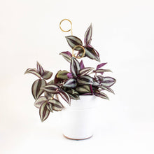 Load image into Gallery viewer, Mini Plant Stake Perch - Gold