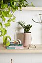 Load image into Gallery viewer, White ceramic deer-shaped incense holder on wooden shelf with small succulent plant