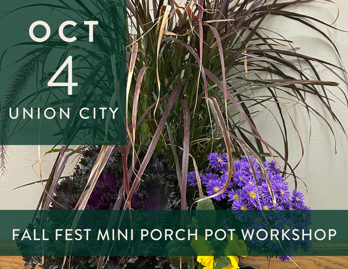 2025 Fall Fest Mini Porch Pot Workshop - Union City