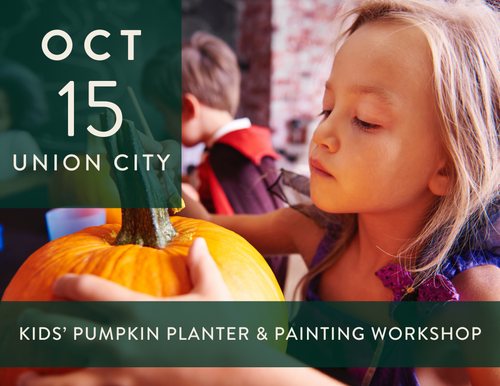 2025 Kids' Pumpkin Planter & Painting Workshop