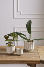 Load image into Gallery viewer, Everleaf Pot