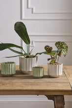 Load image into Gallery viewer, Everleaf Pot
