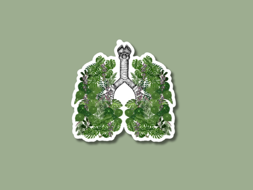 Lungs Plant Sticker