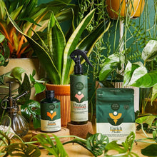 Load image into Gallery viewer, Three green plant care bottles labeled Grow, Protect, and Enrich surrounded by lush houseplants