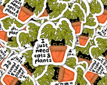 Load image into Gallery viewer, Collection of waterproof vinyl stickers featuring black cats hiding in terracotta plant pots with text 'I just need cats &amp;...