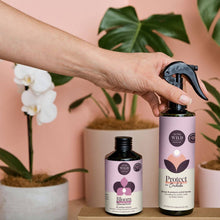 Load image into Gallery viewer, Hand using spray bottle from We The Wild orchid care kit with Bloom and Protect products