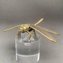 Load image into Gallery viewer, Brass Dragonfly Decoration