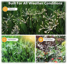 Load image into Gallery viewer, LED solar dandelion burst garden stakes shown in waterproof, heat-resistant, and frost-resistant weather conditions