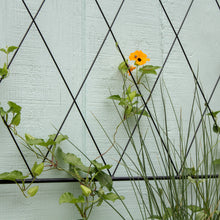 Load image into Gallery viewer, Black diamond lattice trellis panel with climbing plants and orange flower against white wall