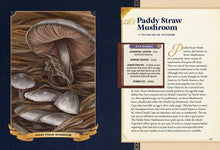 Load image into Gallery viewer, Open hardcover mushroom identification book showing illustrated Paddy Straw Mushroom pages with detailed descriptions
