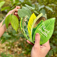 Load image into Gallery viewer, Hands holding Plant Health Handbook with leaf-shaped pages displaying various plant diseases and conditions