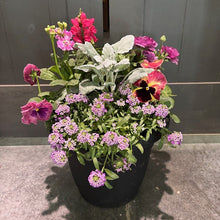 Load image into Gallery viewer, Wasson Seasonal Spring Porch Pot