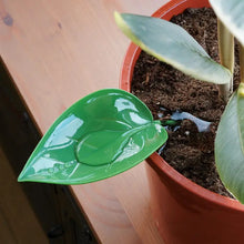 Load image into Gallery viewer, Green leaf-shaped watering funnel placed in terracotta pot with soil and plant leaves