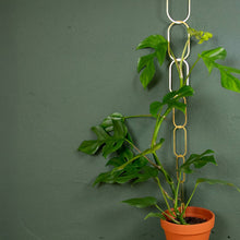Load image into Gallery viewer, Climbing Plant Support