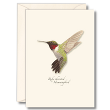 Load image into Gallery viewer, Ruby-throated Hummingbird greeting cards with watercolor illustration on cream background