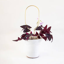 Load image into Gallery viewer, Mini Plant Stake Hoop - Gold