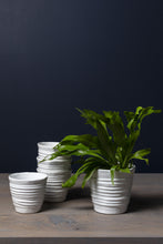 Load image into Gallery viewer, White ribbed ceramic planters in various sizes with green foliage plant against dark background