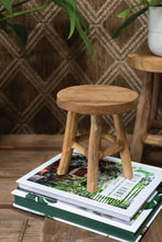 Load image into Gallery viewer, Small wooden three-legged stool sitting on stack of gardening books with plants