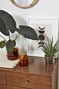 Load image into Gallery viewer, Amber glass pot with saucer holding a small succulent plant on wooden dresser