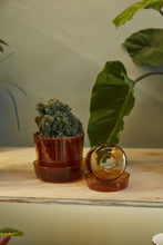Load image into Gallery viewer, Amber glass plant pot with saucer holding a crested cactus on a wooden surface