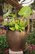 Load image into Gallery viewer, Egg Planter