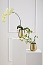 Load image into Gallery viewer, Golden brass hanging planter with chain suspension system displaying modern geometric design