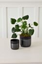 Load image into Gallery viewer, Lennon Pot