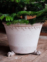Load image into Gallery viewer, Decorative ceramic pot feet supporting terracotta planter with evergreen plant on wooden deck