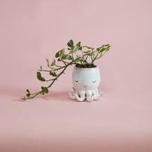 Load image into Gallery viewer, White ceramic octopus planter with closed eyes and tentacle legs holding trailing green plant