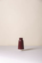 Load image into Gallery viewer, Cove Water Cacti