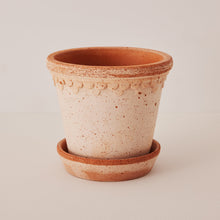 Load image into Gallery viewer, Terracotta plant pot with saucer featuring speckled glaze and decorative rim detail