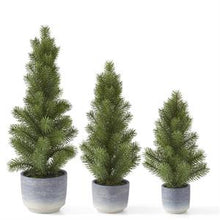 Load image into Gallery viewer, 3 Pine Trees in Gray Ombre Pots