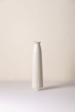 Load image into Gallery viewer, Cove Water Cacti