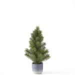 Load image into Gallery viewer, 3 Pine Trees in Gray Ombre Pots