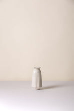 Load image into Gallery viewer, Cove Water Cacti