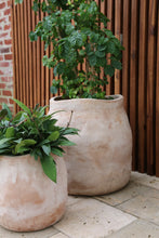 Load image into Gallery viewer, Sac Planter